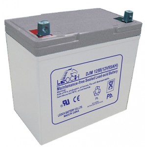 Аккумуляторная батарея Leoch DJM1255 (12V 55Ah)