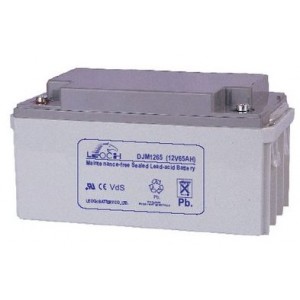 Аккумуляторная батарея Leoch DJM1265 (12V 65Ah)